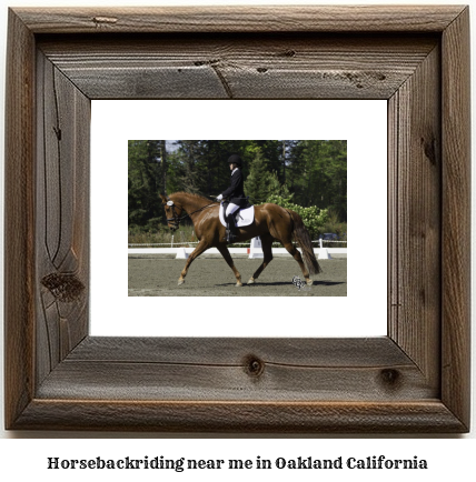 horseback riding near me in Oakland, California